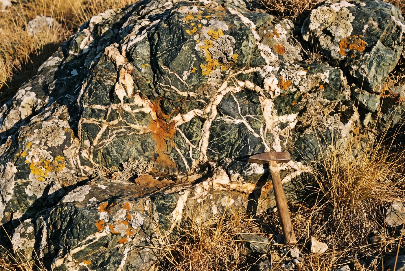 Serpentinite outcrop with a dense network of white carbonate veins