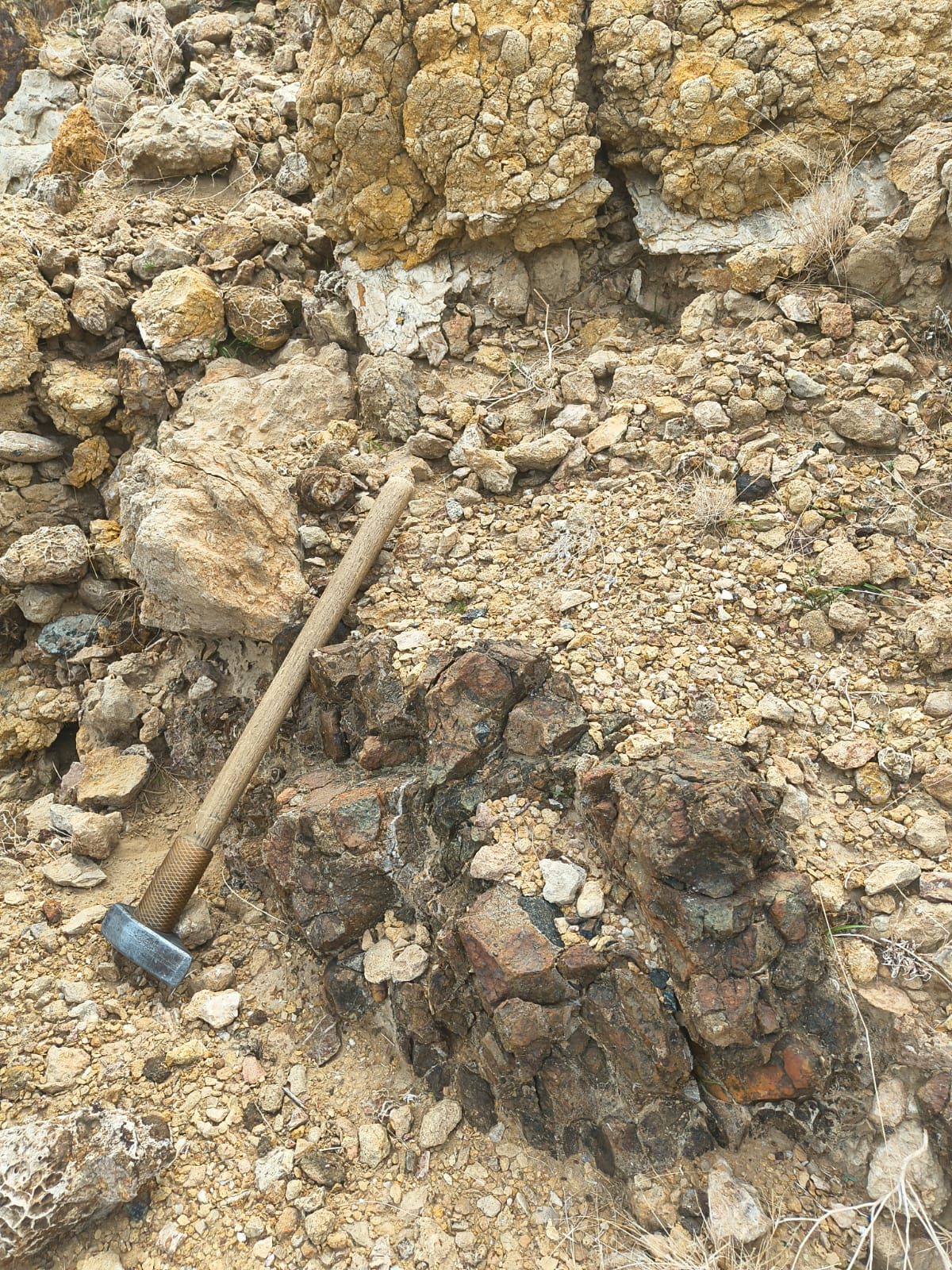 Rust-brown altered ultramafic outcrop with a hammer for scale
